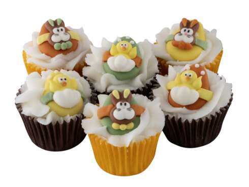 Soin bien-être MINI CUPCAKE 